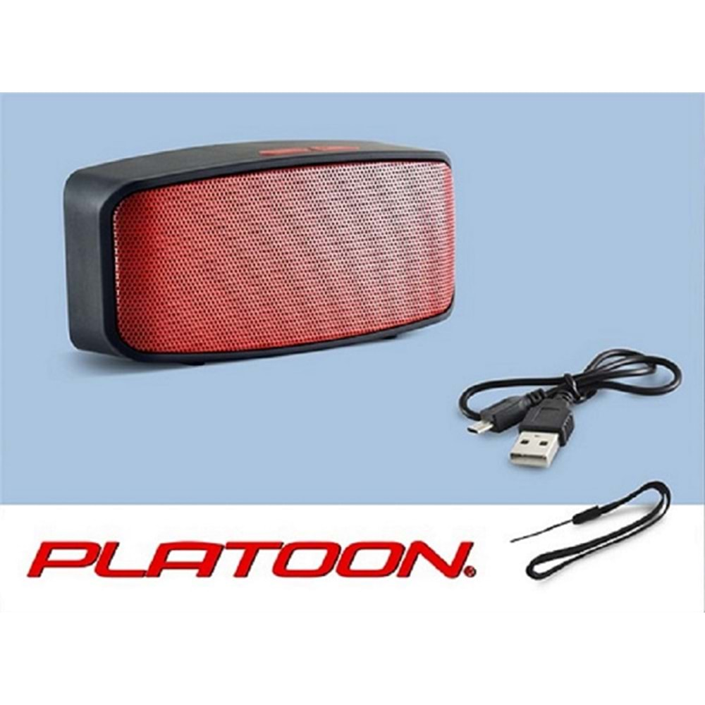 Platoon-Pl-4343-FmUsbSd-Bluetooth-Spekar