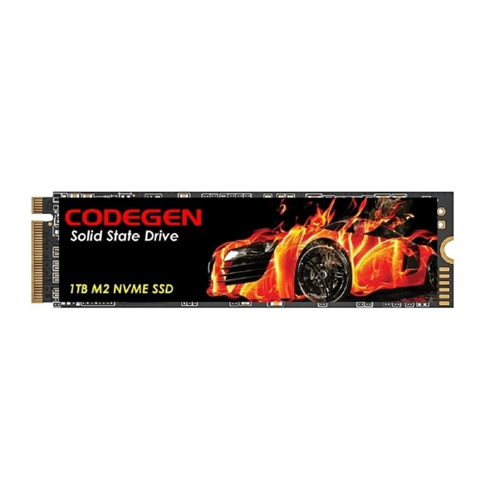 CODEGEN CDG-1TB-NVME M.2 1TB (2100/1700MB/s) PCIe + NVMe SSD Disk (22x80MM)