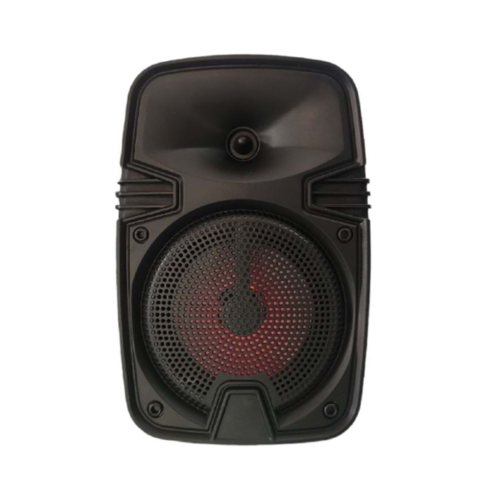 PLATOON PL-4407 IŞIKLI BLUETOOTHLU SPEAKER